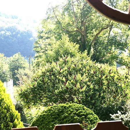 Dani's Naturnah & Aktiv Erleben Appartamento Freiamt